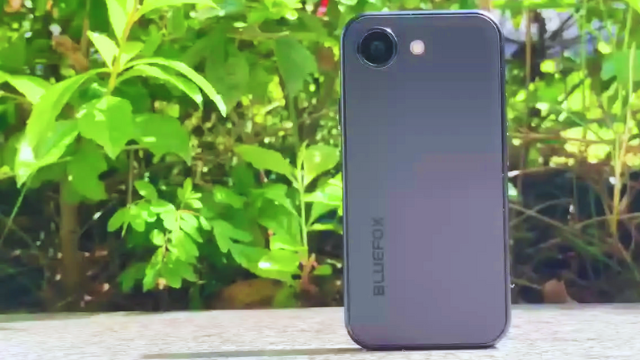 Bluefox NX1 - Camera and photo quality