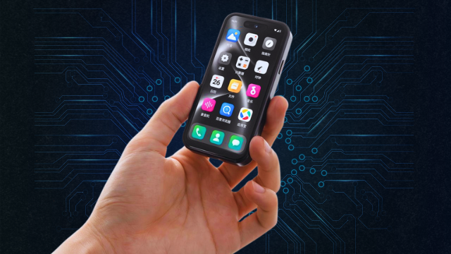 Bluefox NX1 - Screen and sound